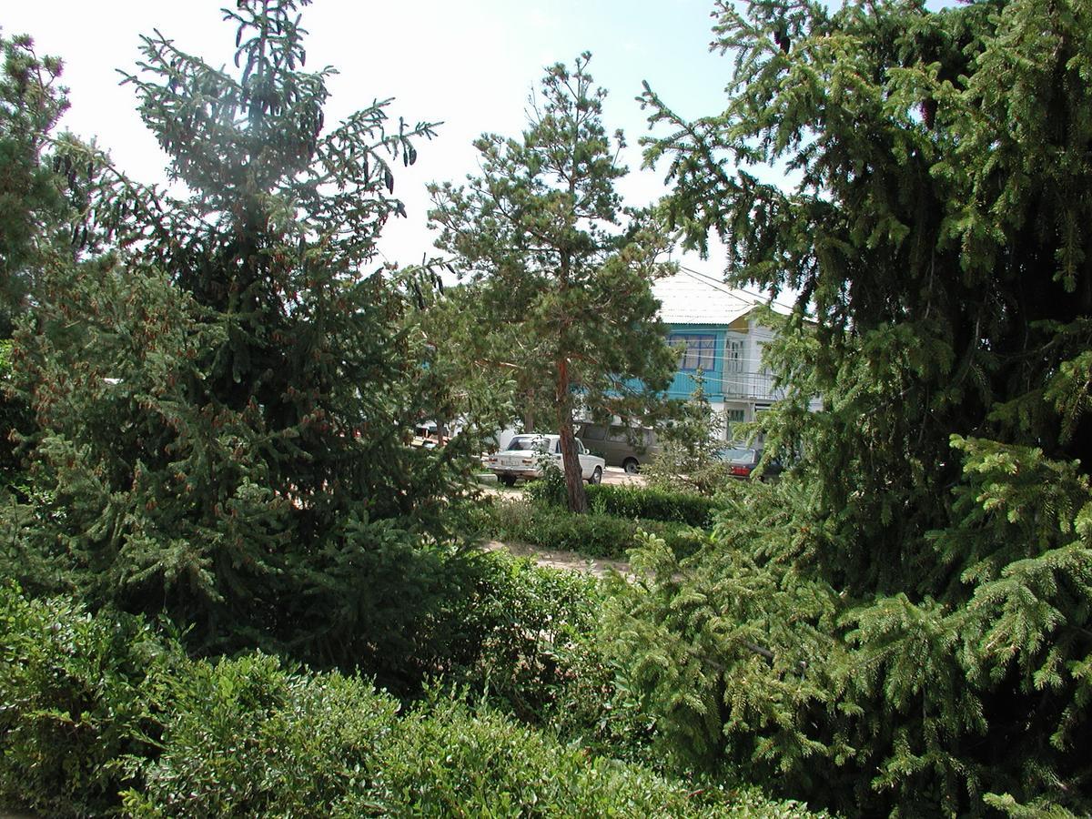 Legenda Health Resort Kaji-Say Exterior foto