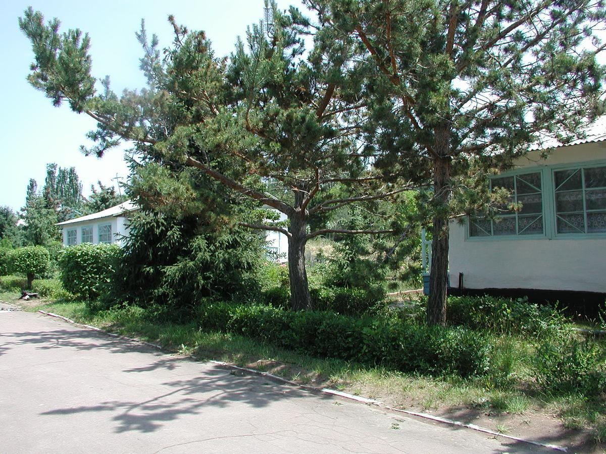 Legenda Health Resort Kaji-Say Exterior foto